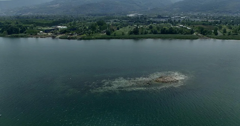 Sapanca Gölü alarm veriyor: Acil eylem planı devreye alınacak