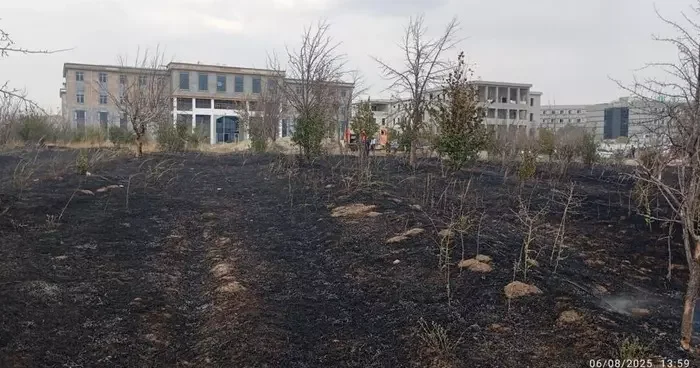 Van Yüzüncü Yıl Üniversitesi kampüsünde arazi yangını
