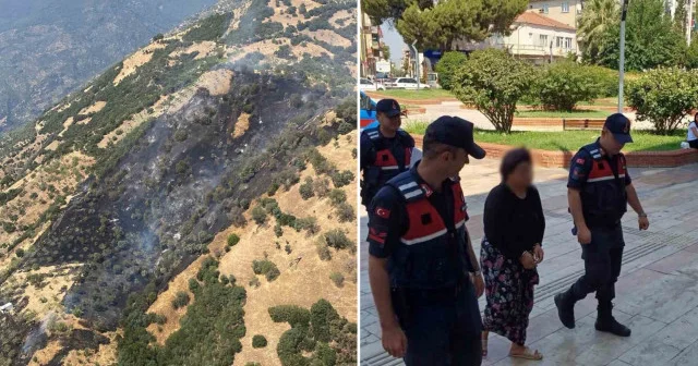 Kayınpederine kızdı incir ağaçlarını yaktı: 4 helikopter, 4 yangın söndürme uçağı, 5 arazöz, 5 itfaiye aracı, 9 jandarma aracı ve 37 personel müdahale etti Aydın Haberleri