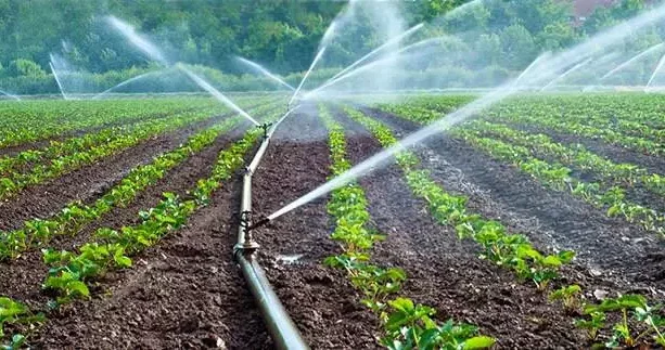 Kuraklık gün geçtikçe artıyor! Tablo korkuttu: Üretim sürecinde 400.000 litre harcıyor