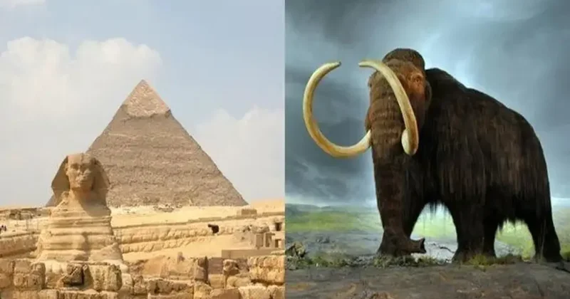 Birbirlerinden haberi olmadan yaşadılar! İşte tarihteki farklı karşılaşmalar