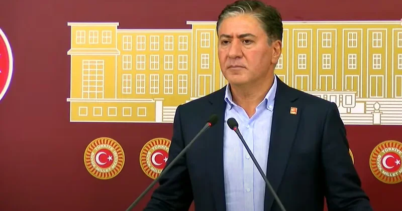 CHP li Emir: Barışa yardımcı olduğumuz sürece komisyonda olmaya devam edeceğiz