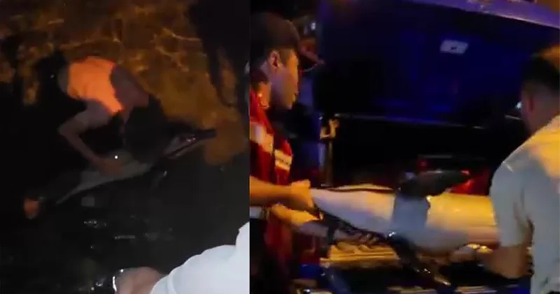Bursa da ölü yunus balığı kıyıya vurdu