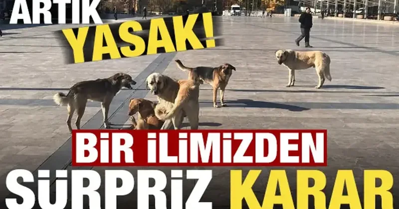 Son dakika: Afyonkarahisar Valiliği nden dikkat çeken karar! Artık yasak...