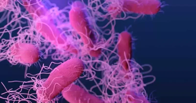 ABD’de salmonella alarmı