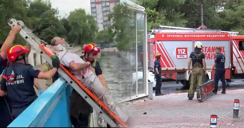 10 metre yükseklikten dereye düştü! Yardımına itfaiye koştu