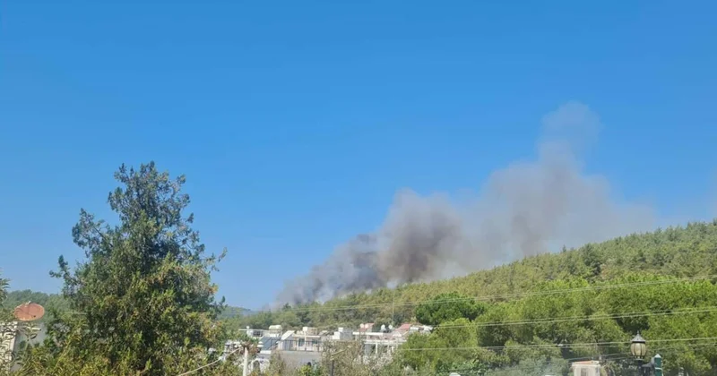 Muğla Bodrum da orman yangını