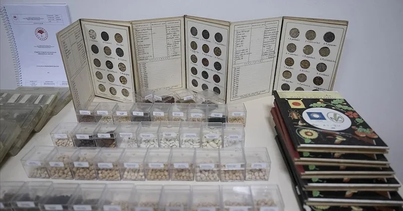 Türkiye’de 4 bin 500 türden 122 bin tohum gen bankalarında korunuyor Sözcü Gazetesi