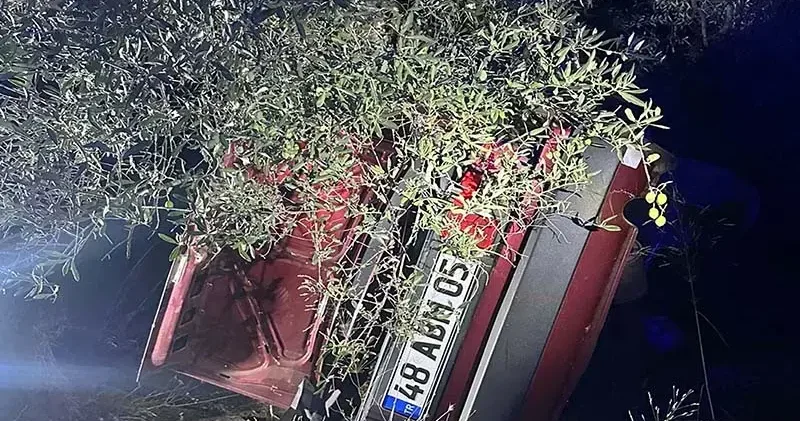 Takla atıp, ağaca çarpan otomobildeki 2 kişi öldü