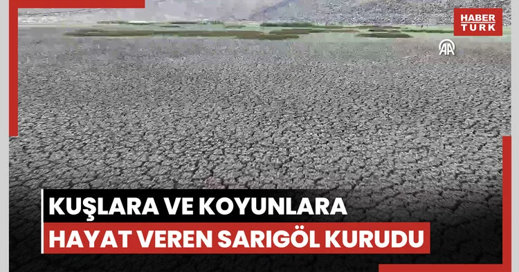 Erciyes in eteklerinde yılkı atları, kuşlar ve koyunlara hayat veren Sarıgöl kurudu