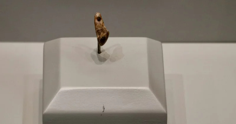 Trabzon daki bu keşif Göbeklitepe yi gölgede bırakacak! İnanılmaz