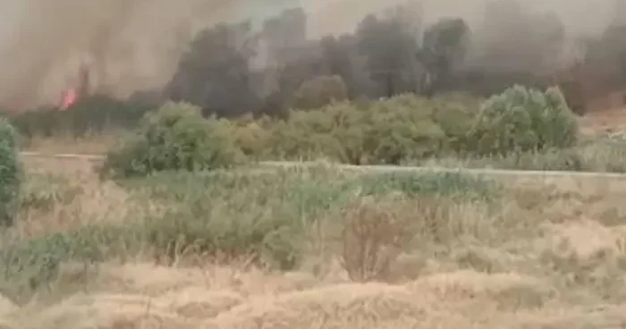 Beypazarı nda otluk alanda yangın! Ekipler sevk edildi
