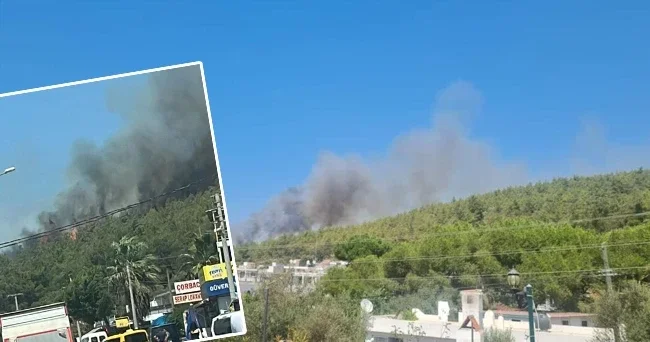 Bodrum’da orman yangını! Rüzgarın etkisiyle büyüyor
