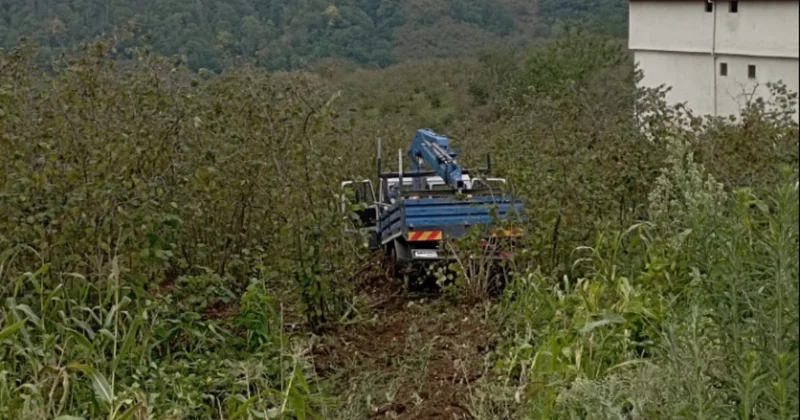 Samsun’da kamyonet fındık bahçesine yuvarlandı: 3 yaralı Sözcü Gazetesi