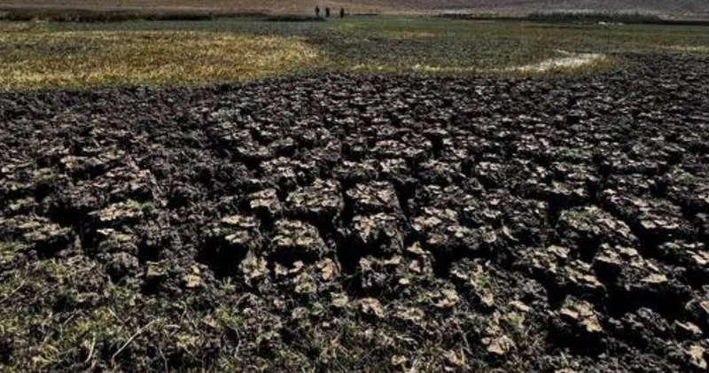 Bir damla su kalmadı! Yılkı atlarının ve kuşların terk ettiği Sarıgöl artık bir çöl