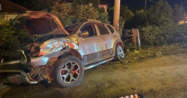 Otomobille cipin çarpıştığı kazada can kaybı Samsun Haberleri