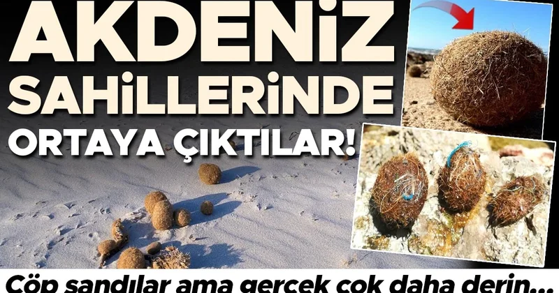 Akdeniz sahillerinde ortaya çıktılar! Çöp sandılar ama gerçek çok daha derin… ‘Bu bir uyarı mektubu’