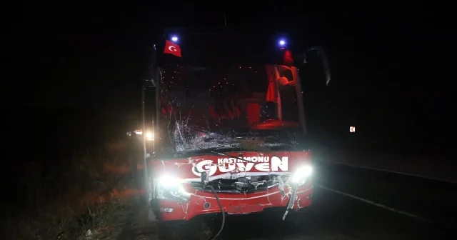 Otobüs ve cipin çarptığı inekler telef oldu Kastamonu Haberleri