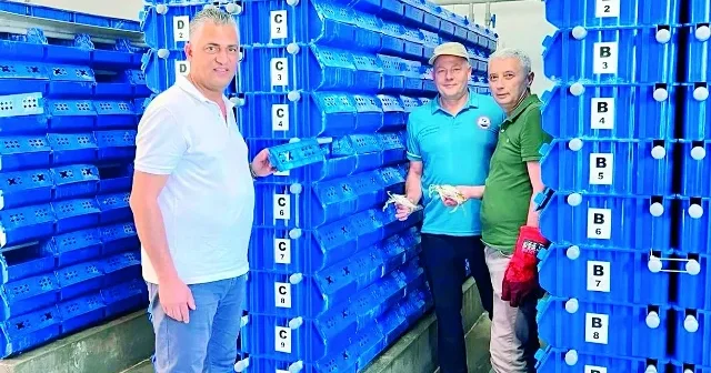 Avrupalı balıkçılar İstanbul da toplanacak Ekonomi Haberleri