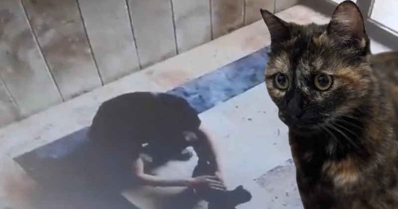 Cezve nin katiline 3 yıl 8 ay ceza! Son dakika haberleri