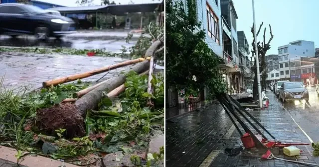 Çin de Matmo tayfunu nedeniyle 150 binden fazla kişi tahliye edildi Dünya Haberleri