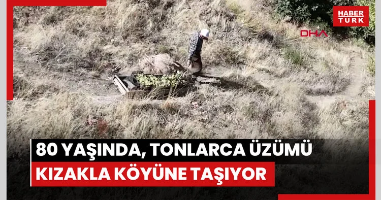 80 yaşında, her yıl tonlarca üzümü kızakla köyüne taşıyor