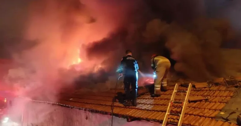 Bursa’da 4 dükkan alevlere teslim oldu