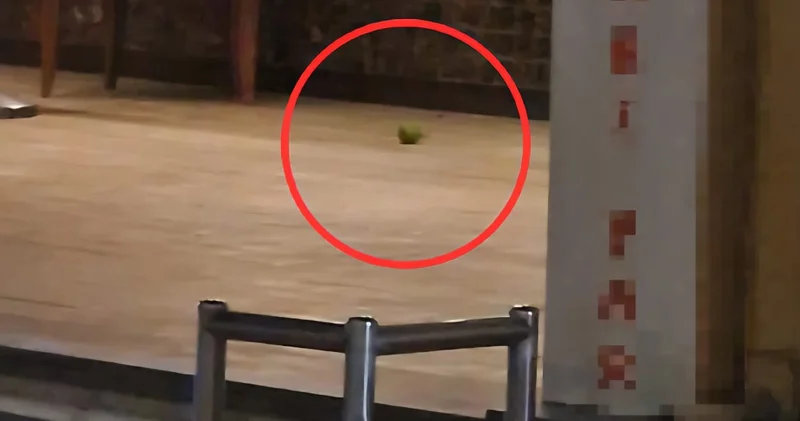Pastaneye el bombalı saldırıda şoke eden detay