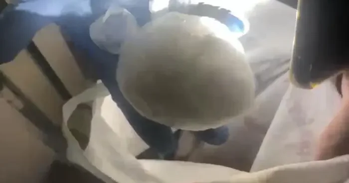 Samsun da uyuşturucu operasyonu! Gözaltın alındı