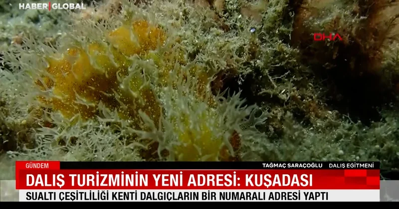 Dalış turizminin yeni adresi: Kuşadası