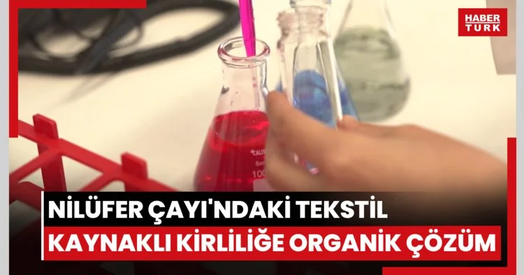 Nilüfer Çayı ndaki tekstil kaynaklı kirliliğe organik çözüm