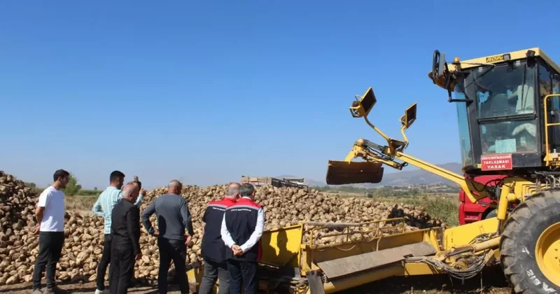 450 bin tonluk hasat bekleniyor! Pancar üretiminde son durum
