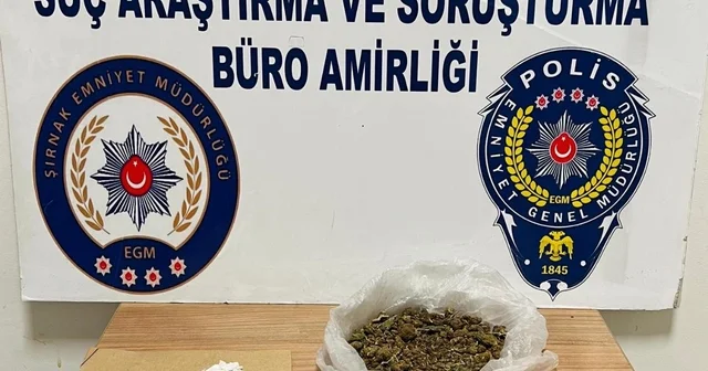Şırnak ta aracında uyuşturucu bulunan sürücü gözaltına alındı Şırnak Haberleri