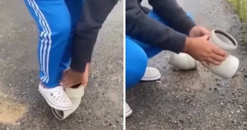 Boruya sıkışan kirpiyi böyle kurtardılar