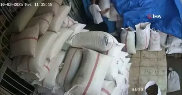 450 bin TL lik Antep fıstığı hırsızlığı güvenlik kamerasına yakalandı
