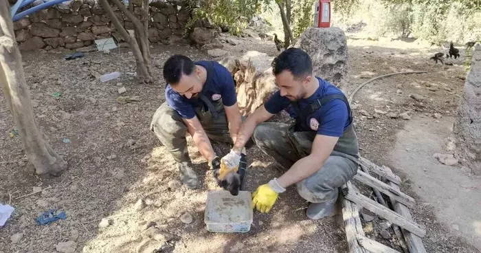 Şanlıurfa’da foseptik çukuruna düşen köpek yavrusu kurtarıldı