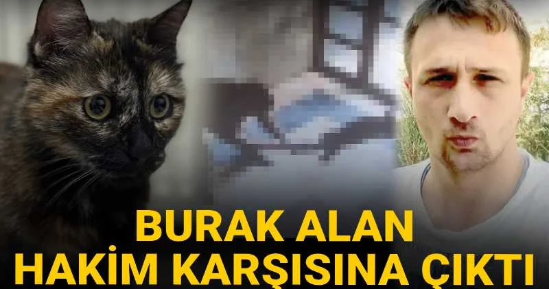 Cezve isimli kediyi vahşice katletmişti! Burak Alan hakim karşısına çıktı