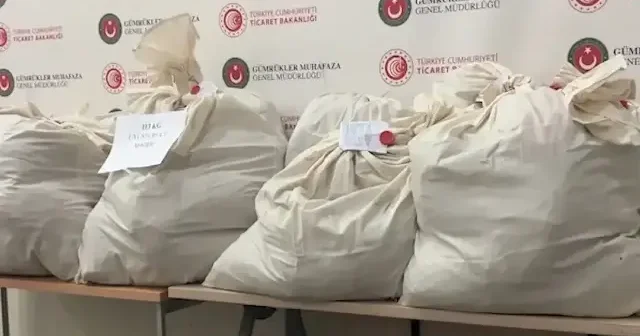 Kapıkule’de büyük uyuşturucu darbesi: TIR dorsesinden 113 kilo esrar çıktı VİDEO İZLE
