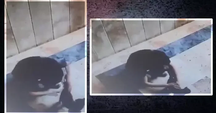 Son dakika Kedi katili hakkında karar! İstanbul da işkenceli ölüm infial uyandırmıştı
