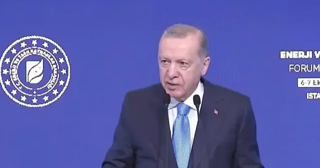 Cumhurbaşkanı Erdoğan: Enerji uğruna nice ülkeler sömürüldü Politika Haberleri