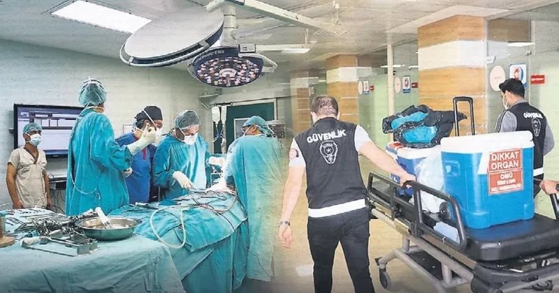 3 hasta için yeni hayat umudu