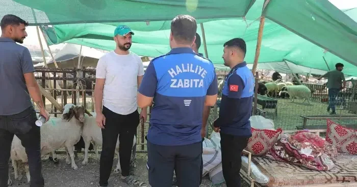 Haliliye Belediyesi 662 personeliyle sahada