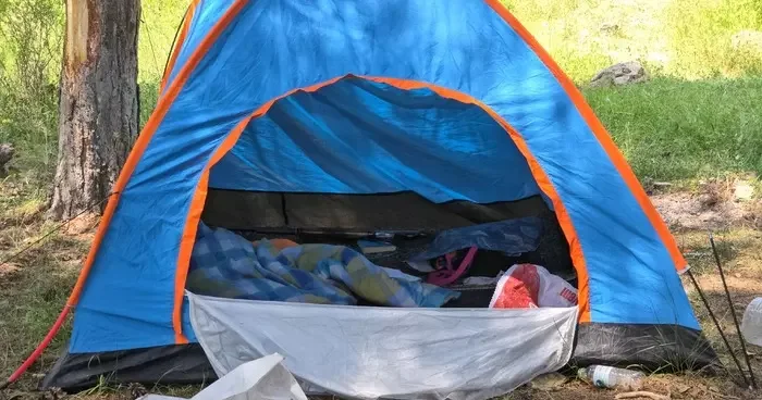 Ormanda çadır kurup kamp yapan öğretmen kayboldu