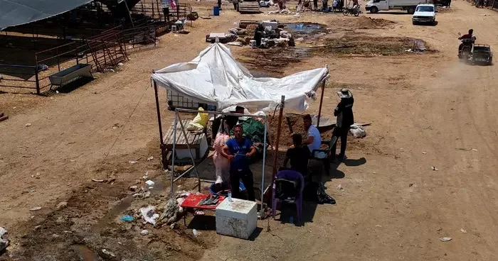 Kurbanlık fiyatları yüzde 40 düştü