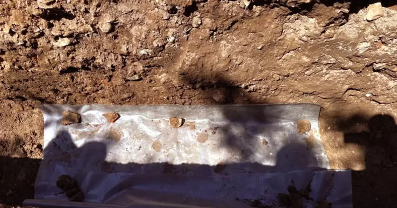 Kahramanmaraş ta 1500 yıllık taban mozaiği bulundu