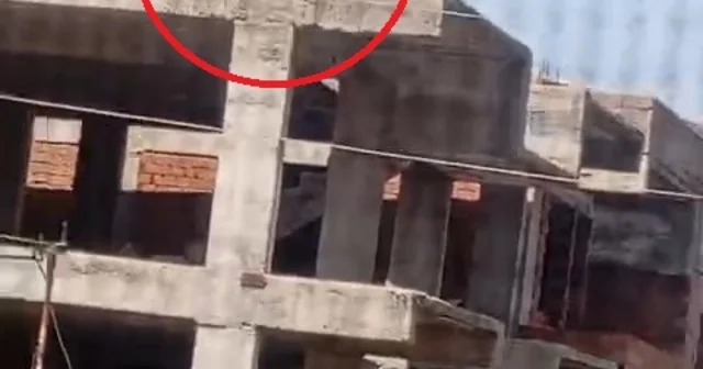 Kaçıp 3 katlı binanın üzerine çıkan koçu, sahibi satmaktan vazgeçti Diyarbakır Haberleri