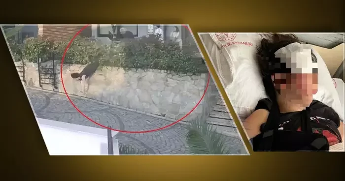 Doktor, kadını 1,5 metre yükseklikten aşağı itti! Ağır yaralanan kadının durumu kritik... Ciddi hasar aldı, gözetim altında tutuluyor