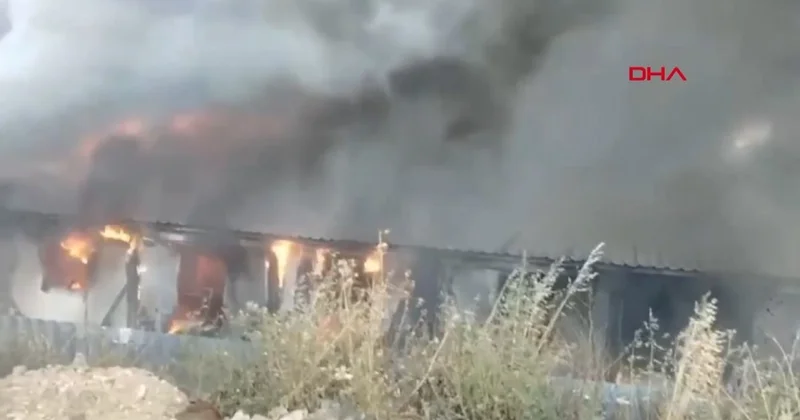 Bodrum da işçi konteynerlerinde yangın Sözcü Gazetesi
