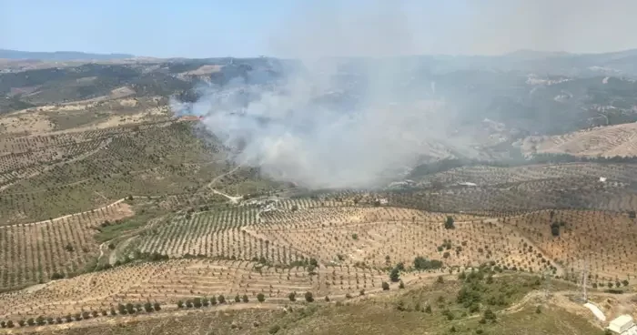 İzmir Seferihisar da orman yangını