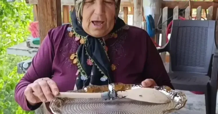 Akademik çalışmalara konu oldu! Öldürene veya satana 557 bin TL ceza